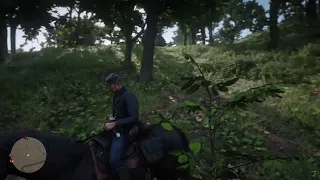 Hayden Russell Location - Read Dead Redemption 2