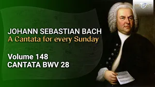 J.S. Bach: Gottlob! Nun geht das Jahr zu Ende, BWV 28 - The Church Cantatas, Vol. 148