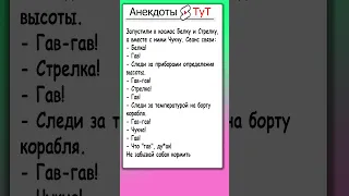 Анекдот про Белку, Стрелку и Чукчу 🤣 #анекдот #анекдоты #юмор