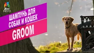 Шампунь для собак и кошек GROOM | Обзор шампунь для собак и кошек GROOM