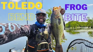 Toledo Bend KBT Tournament