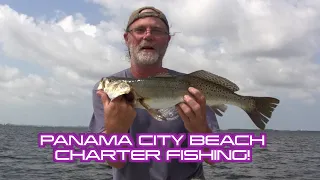 Panama City Beach Charter Fishing Trip
