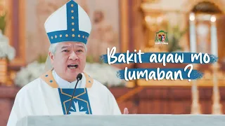 Bakit ayaw mo lumaban?