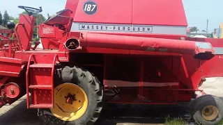 Massey ferguson 187 2021 Перший раз молотимо!