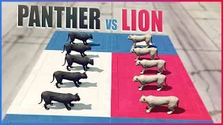 GTA V - Black Panther vs Mountain Lion