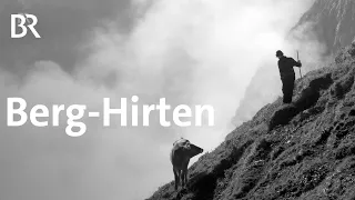 Das harte Leben auf der Alp: Hirten in den Allgäuer Bergen | Zwischen Spessart und Karwendel | BR