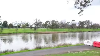 Hawk throws snake at family eating lunch in Melbourne