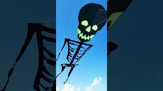 The Skeleton Kite ☠️🪁