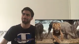 FINALLY Mufasa - The Lion King | Teaser Trailer (2024 Movie) - Reaction