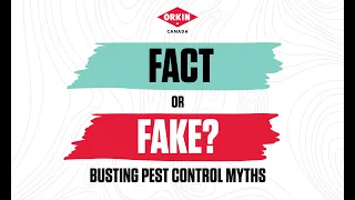 Scientific Fact or Fake - The Top 5 Pest Control Myths | Orkin Canada