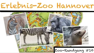 Erlebnis-Zoo Hannover 2021 🦍 | Zoo-Rundgang #10