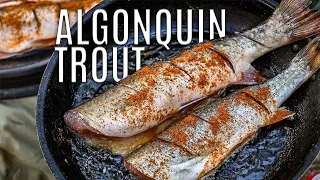 Algonquin Park Brook Trout Fishing Trip | Lunar Eclipse, Sucker Run & Meat Poisoning?
