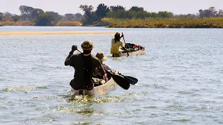 The source of the Okavango wilderness: Angola's untapped territory teeming with biodiversity