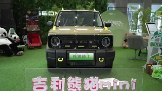 2024 Geely Geome Panda Knight Exterior and Interior Space Detailed Video (4K)