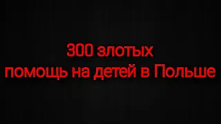 Финансовая помощь на детей в Польше.Как получить 300 злотых #жизньвпольше