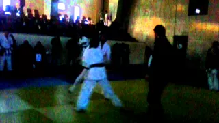 Levani  grdzelishvili kiukushin karate