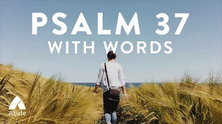 Psalm 37: Abide Bible Meditation - Trust in the Lord and Do Good