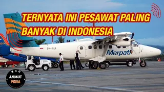 Nggak Cuma di Papua, Pesawat Baling-Baling Ini Berjasa Banget di Indonesia!