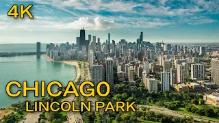 Chicago Virtual Walking Tour - Lincoln Park in Autumn 🍁