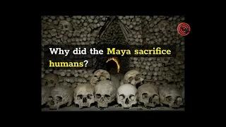 Why did the Maya sacrifice humans?