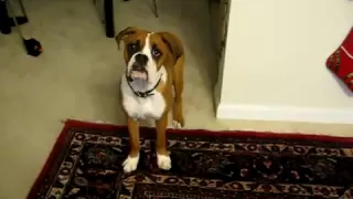 Scared of farts