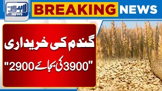 BREAKING !! Purchase of wheat In Punjab | 2900 instead of 3900 | Lahore News HD