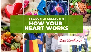 How Your Heart Works