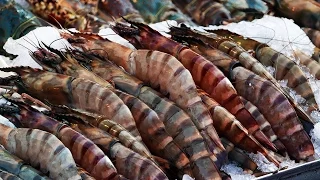 Taiwan Street Food - Jumbo Prawns Seafood