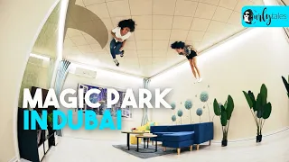 Magic Park At Dubai Garden Glow Will Blow Your Mind! | Curly Tales UAE