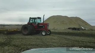 Disking soybean stubble with the 1086!