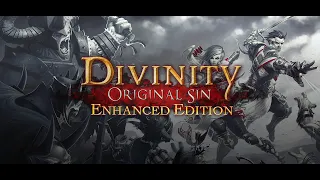 Just resolving a cat love quest in Divinity: Original Sin - Enhanced Edition #12