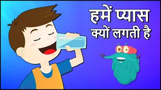 हमें प्यास क्यों लगती है | Why Do We Drink Water In Hindi | Dr.Binocs Show | Importance Of Water
