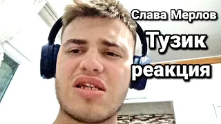 Слава Мерлов - Тузик. Реакция на Альбом