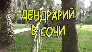 ДЕНДРАРИЙ в Сочи.