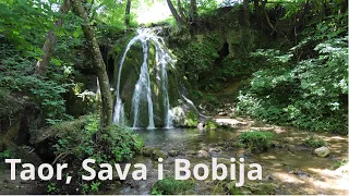 Taor, Sava i Bobija