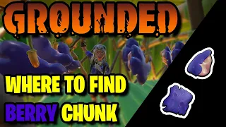GROUNDED - BERRY CHUNK LOCATION!