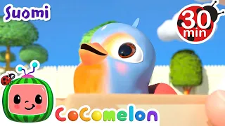 🐣 Pikku, pikku lintunen | CoComelon Finnish Songs | Lastenlauluja ja loruja