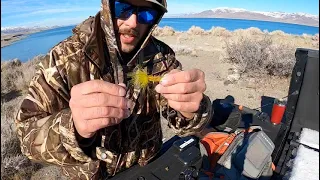 SHORE Fishing Pyramid Lake Nevada (Tutorial)