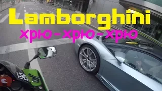 Lamborgini хрю-хрю-хрю