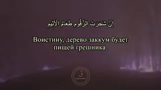 КРАСИВОЕ ЧТЕНИЕ КОРАНА  📖 Сура 44 🌱Ад-Духан (Дым)  🍃Аяты 43-50 📢 Чтец Мансур Мухиддин.