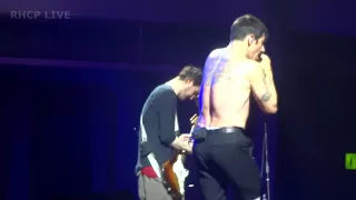 Red Hot Chili Peppers - Don;t Forget Me - Frankfurt (SBD audio)