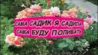 Минусовка к песне "Сама садик я садила" для сопрано ( пн. 02 08 21 18 01 19 )