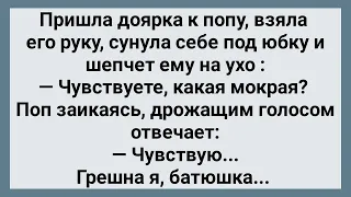 Поп Залез Доярке Под Юбку! Сборник Свежих Анекдотов! Юмор!