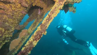 Diving the J5 Submarine - Jan 2024