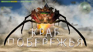 КРАБ ПОБЕРЕЖЬЯ - ГАЙД В WILL TO LIVE ONLINE В 2023 ГОДУ!