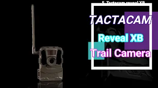 tactacam reveal xb cellular trail camera no glow - verizon & at&t
