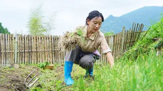 （spring ploughing）大自然不僅有取之不盡的奇妙食材，更會讓每一次的耕耘都結出碩果【鄉愁沈丹 Shen Dan】