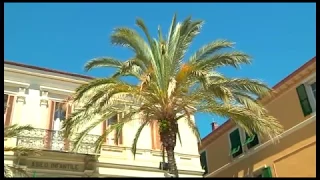 Diano Marina - spiagge, entroterra, eventi