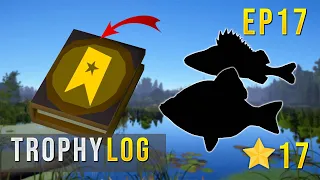 Russian Fishing 4 TROPHY LOG EP 17-  Carp Fishing MADNESS! #rf4 #russianfishing4