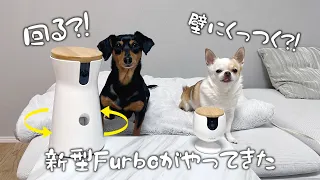 飼い主がいない間に愛犬が何をしているか覗いてみたら…w